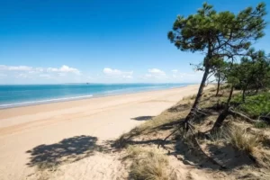 15 plus belles plages de Charente-Maritime : plage de la Gautrelle ile d'Oléron