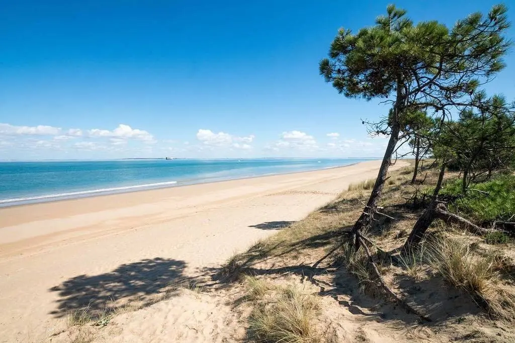 15 plus belles plages de Charente-Maritime : plage de la Gautrelle ile d'Oléron