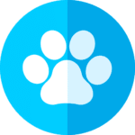Chiens et chats admis