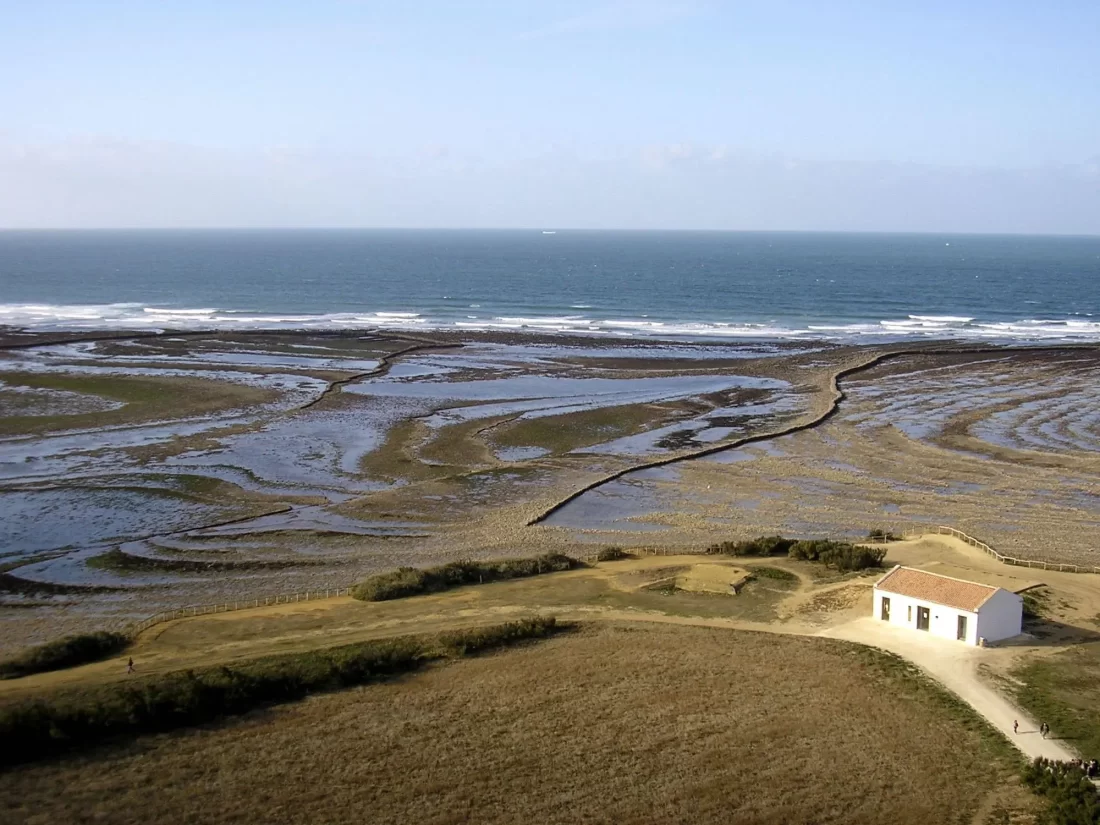 vue du sommet du phare de chassiron
